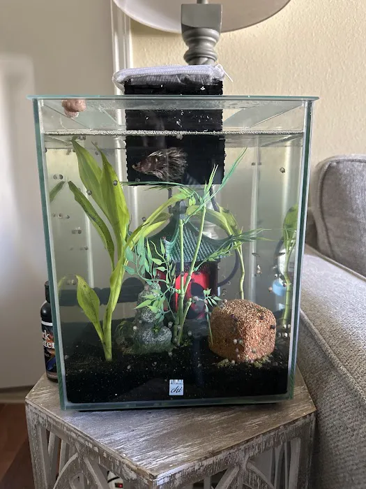 Wet Pets LLC Picture 4