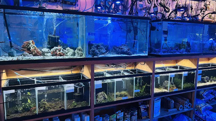 Wet Pets LLC Picture 8