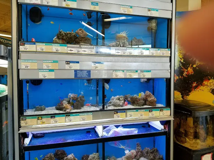 Petco Picture 2
