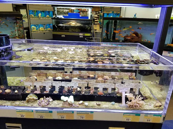 Petco Picture 5
