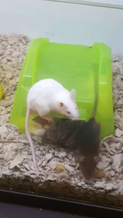 Petco Picture 6