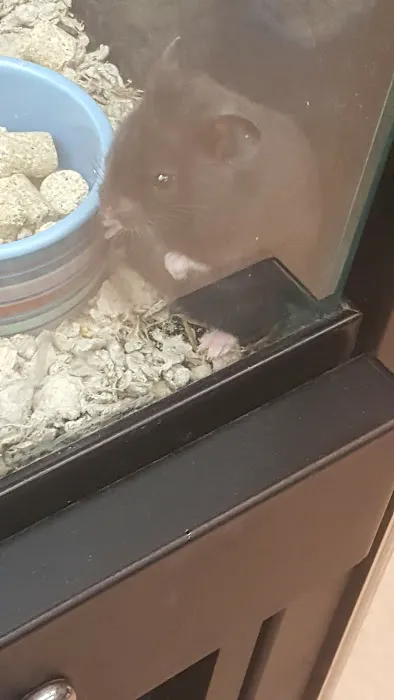 Petco Picture 10
