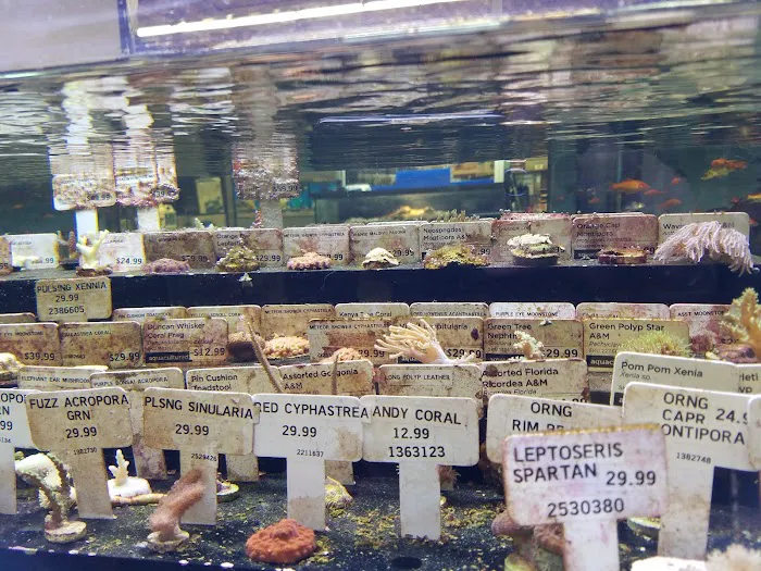 Petco Picture 9