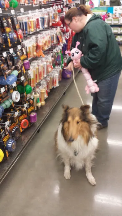 Petco Picture 3