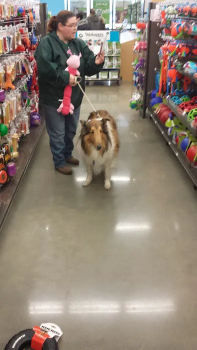 Petco Picture 5