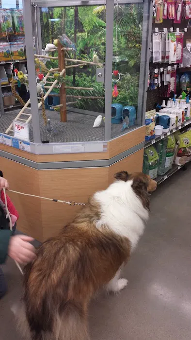 Petco Picture 8