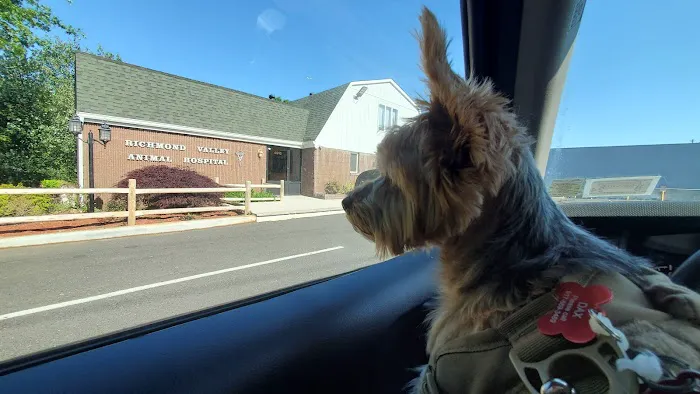 Richmond Valley Veterinary Practice Picture 4