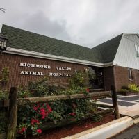Richmond Valley Veterinary Practice ico
