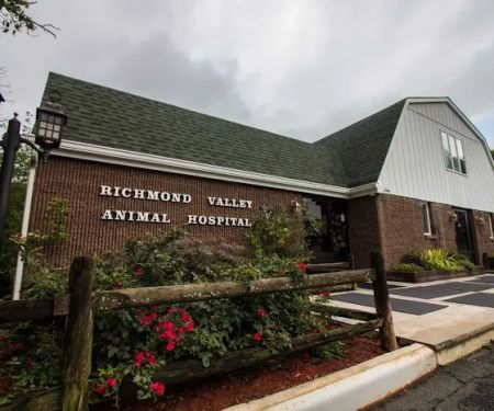 Richmond Valley Veterinary Practice