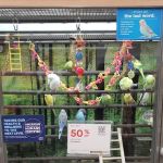 Petco
