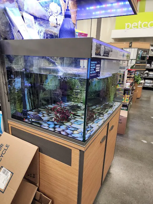 Petco Picture 2