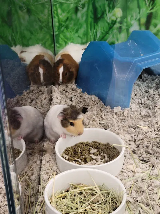 Petco Picture 9