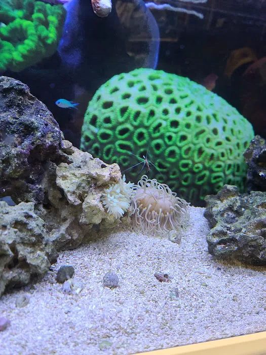 Petco Picture 7
