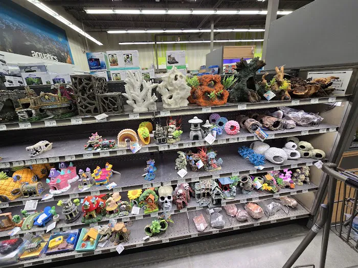 Petco Picture 8