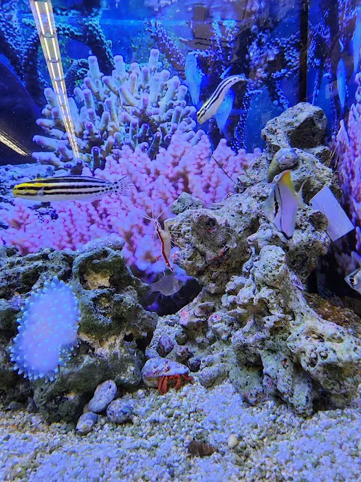 Petco Picture 10