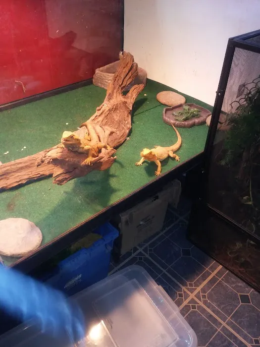 Creatures Plus Picture 7