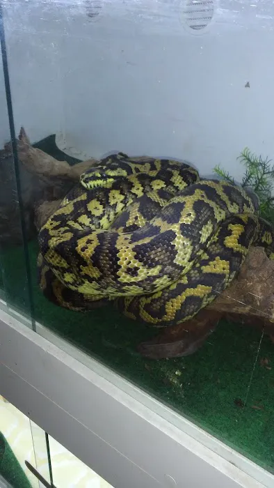 Creatures Plus Picture 10