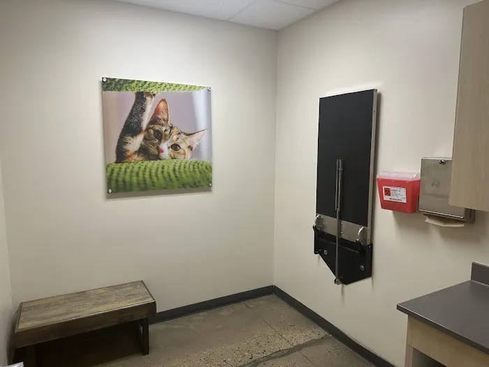 Vetco Total Care Animal Hospital Picture 8