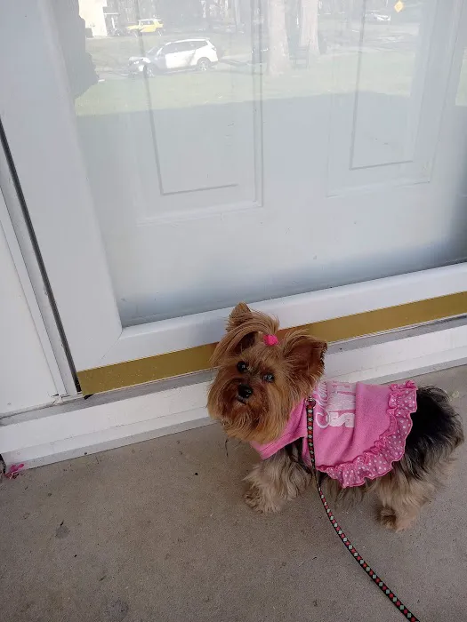 All Saints Animal Hospital Picture 6