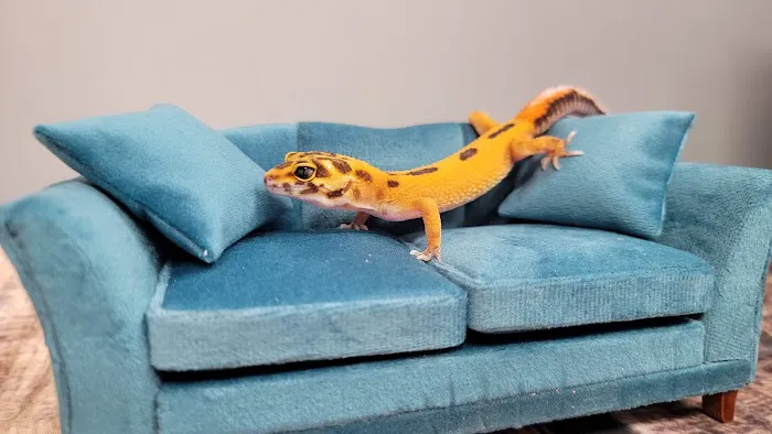 Wild Exotics LLC Picture 8