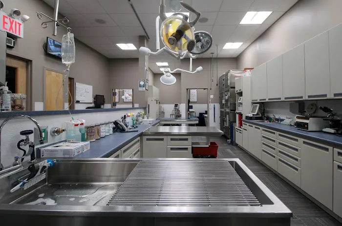 Pleasant Plains Animal Hospital South Picture 3