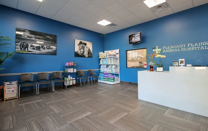 Pleasant Plains Animal Hospital South Picture 2
