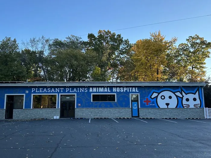Pleasant Plains Animal Hospital South Picture 5