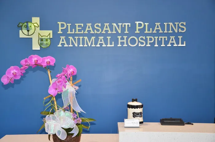 Pleasant Plains Animal Hospital South Picture 10