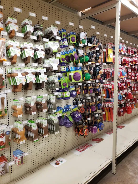 Weber's Pet Supermarket Picture 1