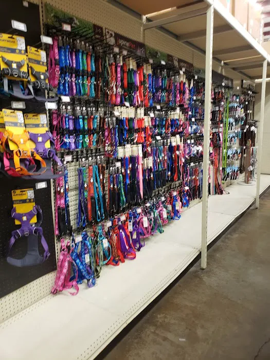 Weber's Pet Supermarket Picture 9