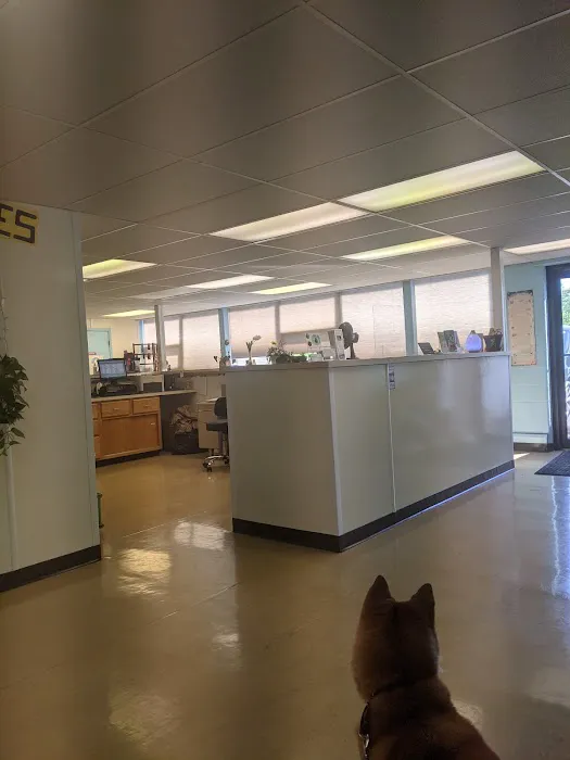 Berks Animal Hospital North Picture 5