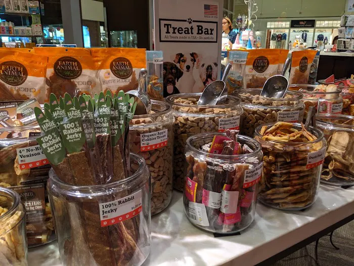 Boston Barkery Picture 5