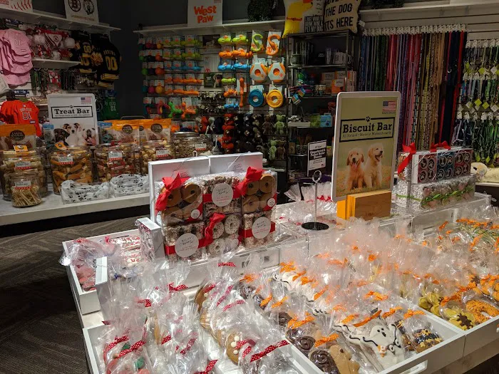 Boston Barkery Picture 4