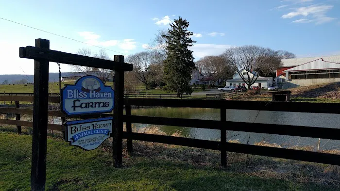 Bliss Haven Animal Clinic Picture 2