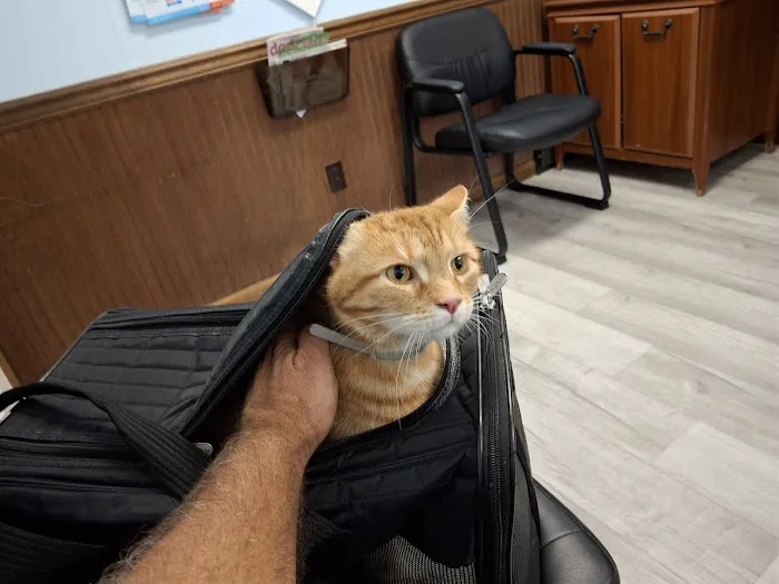 Hamburg Animal Hospital Picture 5