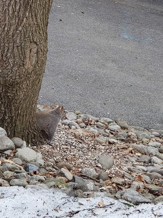 Hamburg Animal Hospital Picture 6