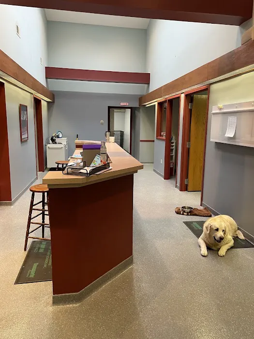 Lehighton Animal Hospital Picture 2