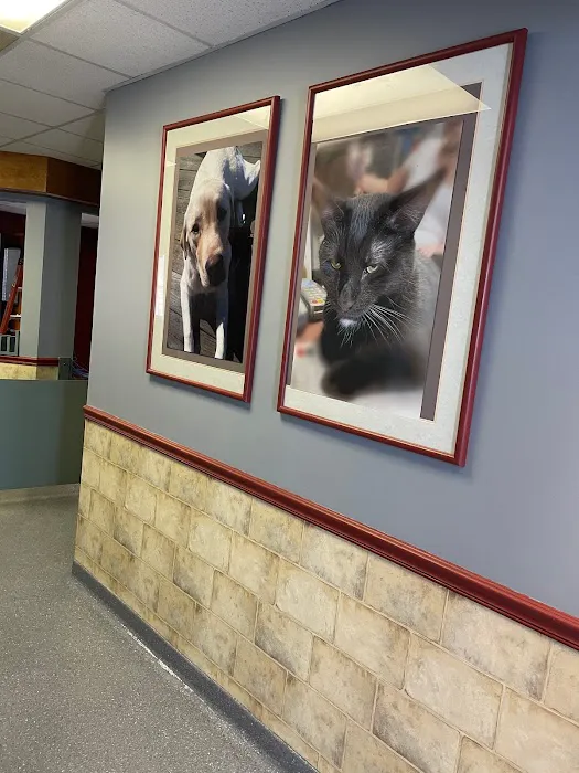 Lehighton Animal Hospital Picture 6