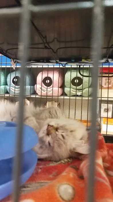 Pet-Go-Round Picture 6
