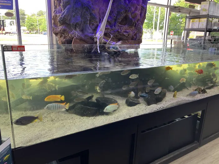 Aquariums Unlimited LLC Picture 4
