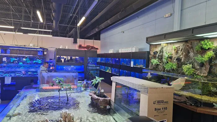 Aquariums Unlimited LLC Picture 5