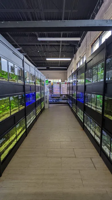 Aquariums Unlimited LLC Picture 2