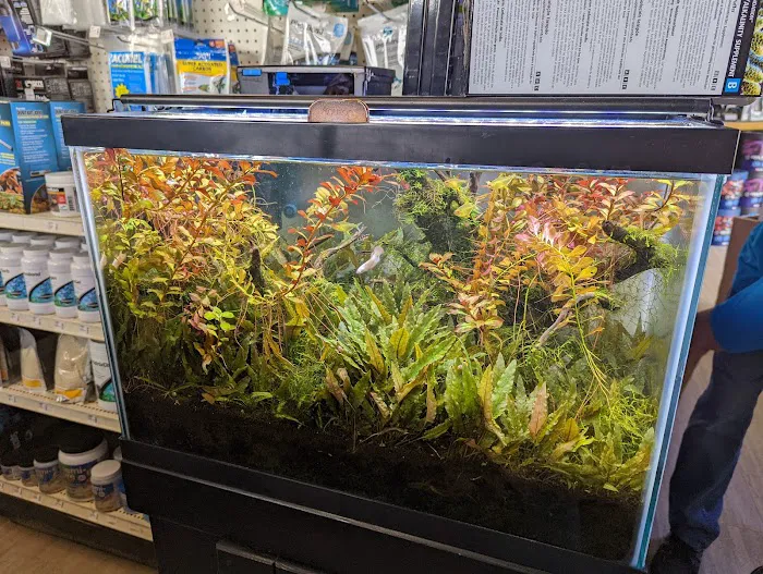 Aquariums Unlimited LLC Picture 6