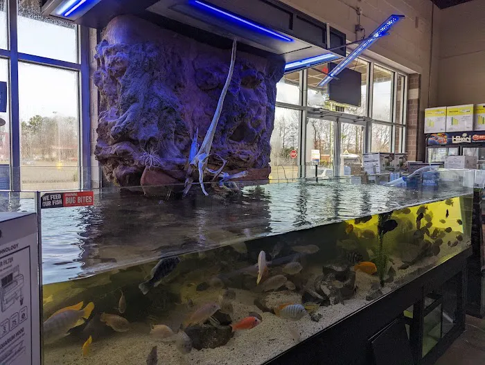 Aquariums Unlimited LLC Picture 7