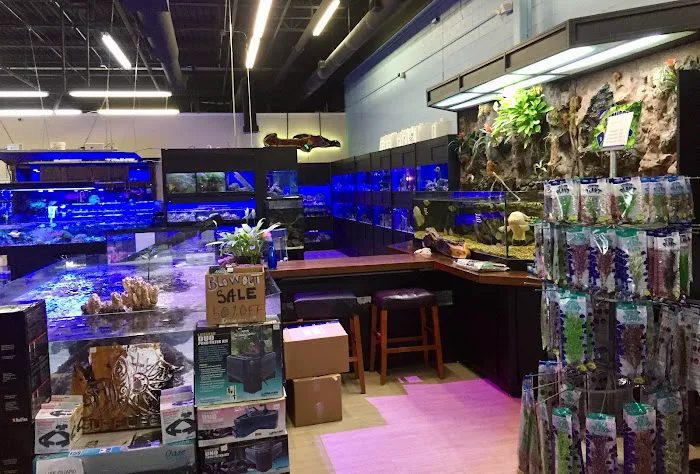 Aquariums Unlimited LLC Picture 8