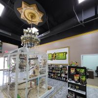 REPTILES UNLIMITED LLC ico