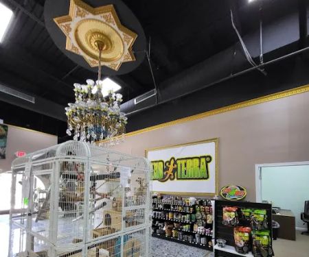 REPTILES UNLIMITED LLC