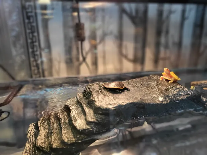 REPTILES UNLIMITED LLC Picture 4
