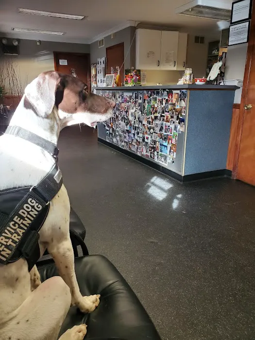 Homestead Veterinary Center Picture 7