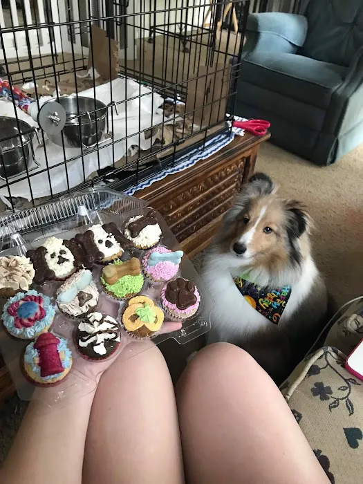 My Best Friends Cupcakes Picture 5